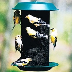 Bird feeder