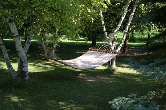 hammock